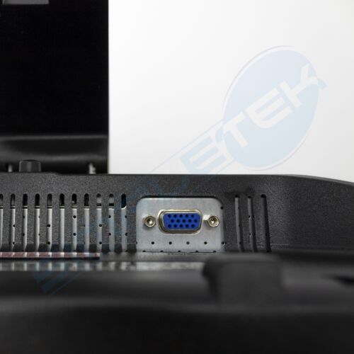 Women's Brown Leather Backpacks